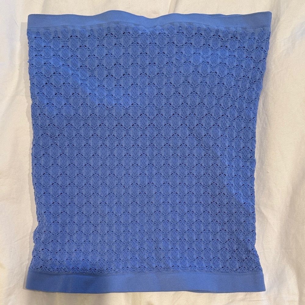 Free People Blue Lace Crop Top